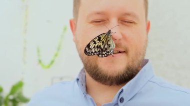 Büyük kahverengi kelebek, erkek yüzünün burnuna oturur, yakın plan. Boşluğu kopyala