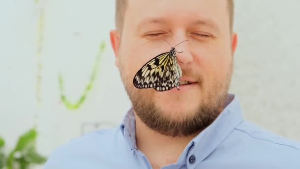 Grande farfalla marrone siede sul naso di un volto maschile, primo piano. Copia spazio — Video Stock