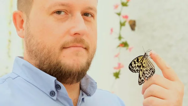 Macho sostiene una mariposa en su mano y la examina y admira la belleza del insecto, primer plano —  Fotos de Stock