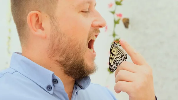 Mâle tient un papillon dans sa main et veut manger un insecte, blague, gros plan — Photo