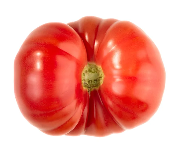 Stor mogen tomat — Stockfoto