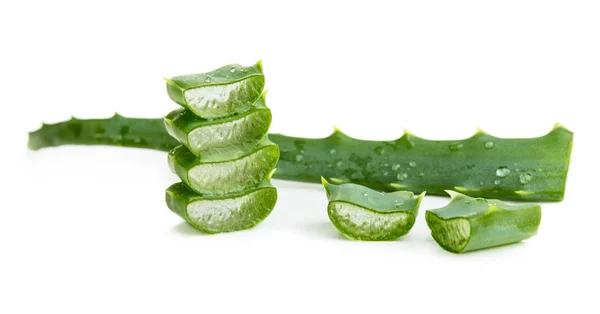 Aloe vera em branco — Fotografia de Stock