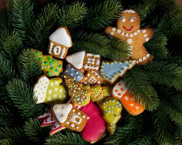 Gingerbread on fir tree background — Stock Photo, Image