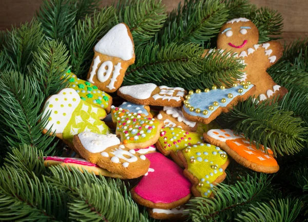 Gingerbread on fir tree background — Stock Photo, Image