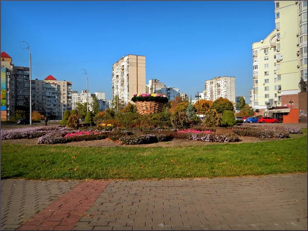 Киев Оболонь Корзина Клумбами — стоковое фото