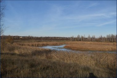 Gölün kuru kamış ve mavi yüzeyi.