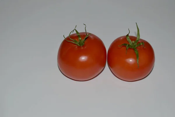 Frutos maduros de tomates vermelhos . — Fotografia de Stock