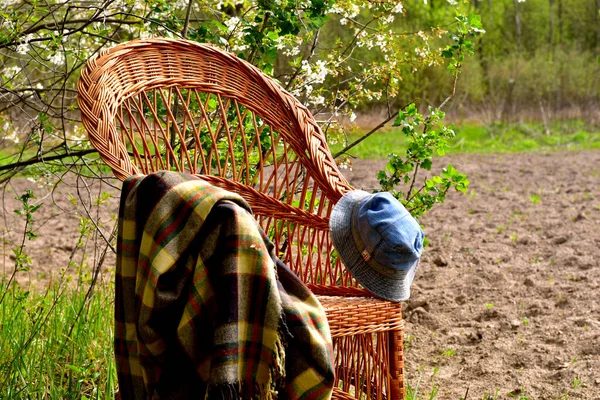 Плетеный стул стоит в саду на нем лежит клетка . — стоковое фото