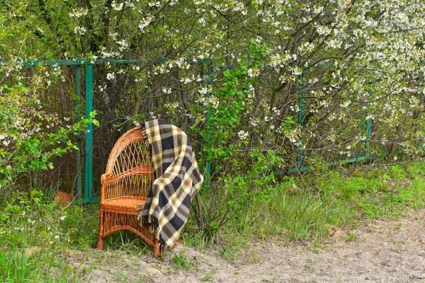 Плетеный стул стоит в саду под вишенкой на нем лежит клетка . — стоковое фото