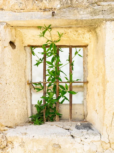Gamla trasiga fönster i en byggnad i en by i Spanien. Stockbild