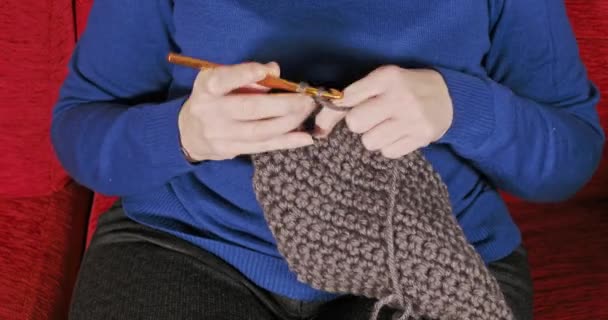 Γυναίκα Crocheting Κάθεται Έναν Καναπέ Χόμπι Περνώντας Την Καραντίνα Coronavirus — Αρχείο Βίντεο