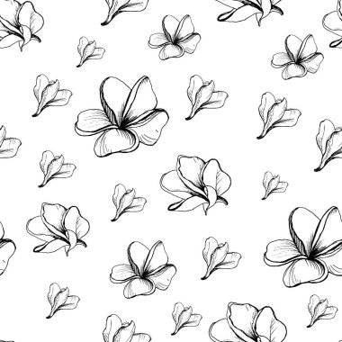 Plumeria Alba 'nın Çiçekleri ile kusursuz grafik deseni. Doodle tarzı. Frangipani 'nin çizimsiz çizimi. Siyah ve beyaz. Tropik çiçek. Tekstil tasarımı için Kumaş. Kağıt mendil