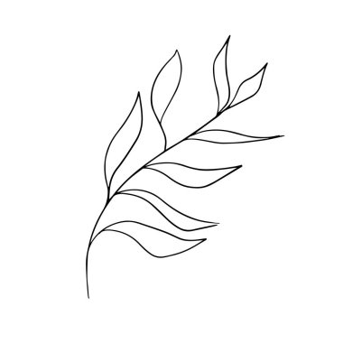 Beyaz arka planda tek elle çizilmiş yaprak. Contour vektör illüstrasyonu izole edildi. Davetiyeler için modern tasarım botanik unsuru, düğün kartları, duyurular. Bitkiler. Çizgi sanatı