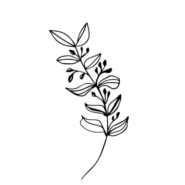Beyaz arka plana tek elle çizilmiş bir dal. Doodle vektör çizimi izole edildi. Davetiyeler için modern tasarım botanik unsuru, düğün kartları, duyurular. Bitkiler. Çizgi sanatı
