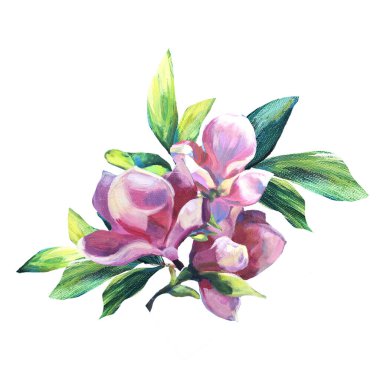 Yaz buketi. Çiçek Düzenleme. Yeşil yapraklı bir demet Pembe Manolya. Yağlı boyalı doku. Tebrik, düğün, davetiye tasarımı için dekorasyon. Posterler için, yazdır