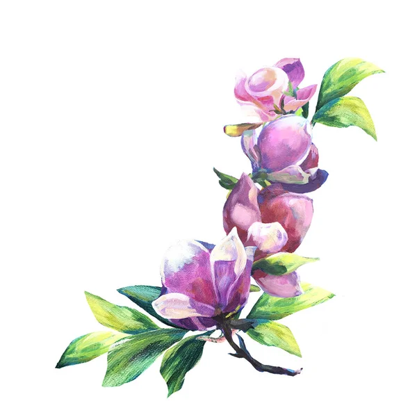 Arreglo Flores Ramo Magnolia Rosa Con Hojas Verdes Textura Pintada —  Fotos de Stock