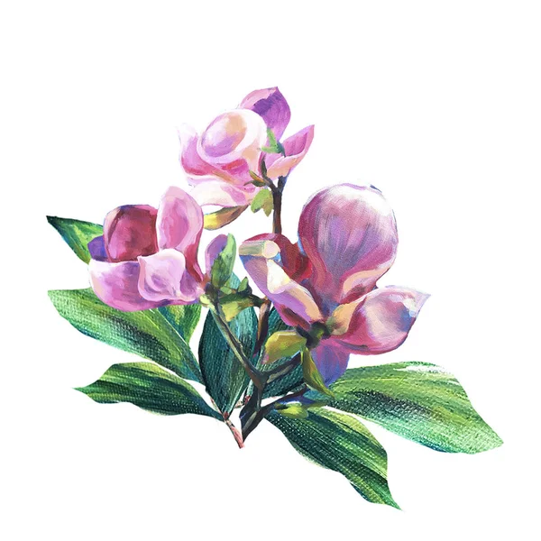 Nyári csokor. A virágok elrendezése. Egy rakás rózsaszín Magnolia zöld levelekkel. Olajfestett textúra. Dekoráció köszöntés, esküvő, meghívó design. — Stock Fotó