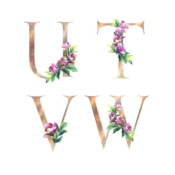 Квіткові листи встановлюються з квітами магнолії та листя. U, T, W, V. Елегантний алфавіт ізольований на білому тлі. Дизайн для весілля, запрошення, вітання та листівки на день народження — стокове фото