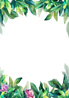 Dikdörtgen çiçek desenli pembe çiçekler ve yapraklar. Elle boyanmış doku. Magnolia 'nın bahar çiçeği. Selamlama, davet, düğün, doğum günü kartları için yeşillik sınırı