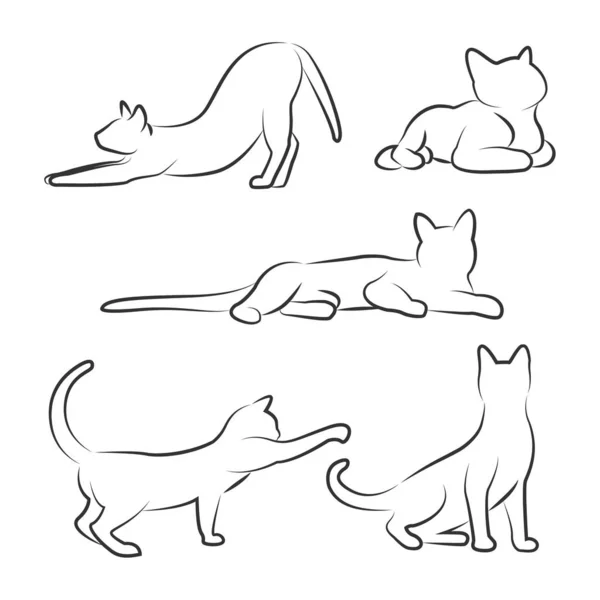 Кот в разных позах. Эскиз кота. Рисунок контура . — стоковый вектор