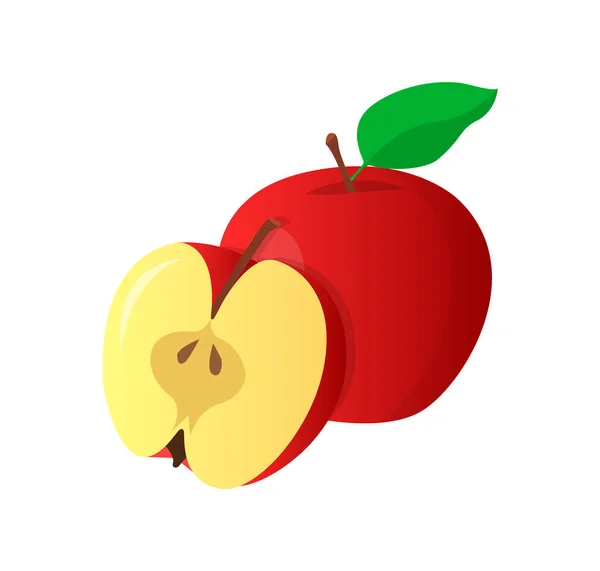 Vektör elma. Elma bütün ve kesilmiş.. — Stok Vektör