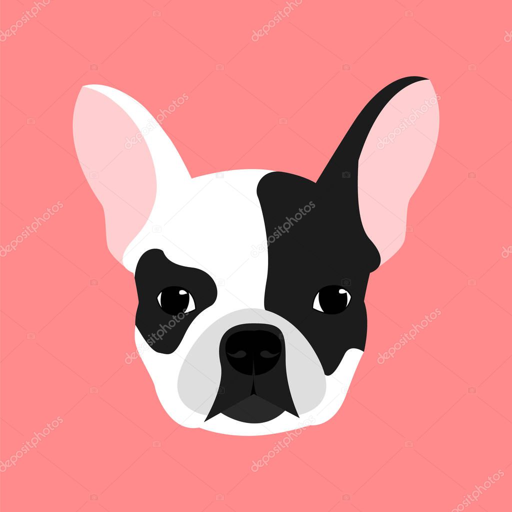 Head of a white and black french bulldog on a pink background, vector.