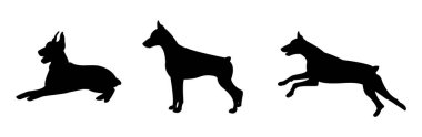 Çeşitli pozlarda bir köpeğin silueti. Köpek yalan söylüyor. Köpek ayakta duruyor. Köpek kaçıyor..