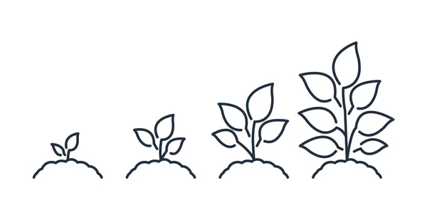 Setzlingsliniensymbol. Pflanzenwachstum. Vektorsymbol. — Stockvektor