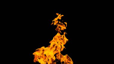 Siyah arka planda ateş alevleri. siyah arka plan isolat yangın