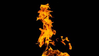 Siyah arka planda ateş alevleri. siyah arka plan isolat yangın