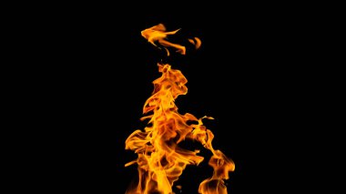 Siyah arka planda ateş alevleri. siyah arka plan isolat yangın