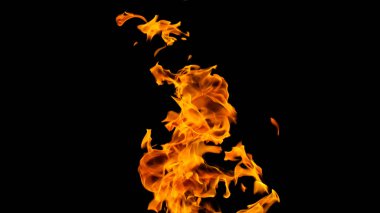 Siyah arka planda ateş alevleri. siyah arka plan isolat yangın