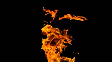 Siyah arka planda ateş alevleri. siyah arka plan isolat yangın