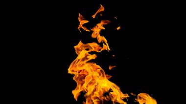 Siyah arka planda ateş alevleri. siyah arka plan isolat yangın