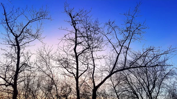 Heure dorée, les derniers rayons du soleil illuminent le ciel contre — Photo