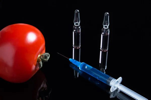 Testing GMO plant in laboratory on tomato - biotechnology and GMO concept. GMO genetically modified food. Tomato and syringe with blue drug on a black background with ampoules.