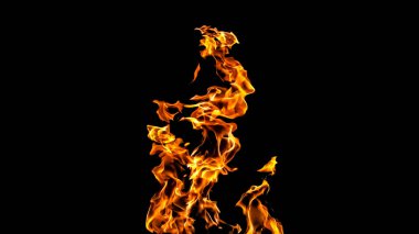 Siyah arka planda ateş alevleri. siyah arka plan isolat yangın