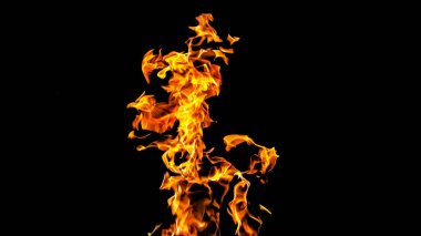 Siyah arka planda ateş alevleri. siyah arka plan isolat yangın