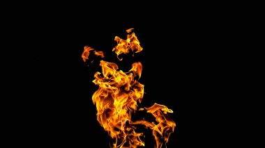 Siyah arka planda ateş alevleri. siyah arka plan isolat yangın