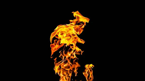 Flammer på svart bakgrunn. brann i svart bakgrunnsisolat – stockfoto