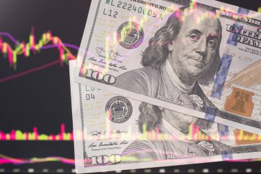 Bir dizüstü bilgisayar monitörünün önünde bir fiyat belirleyicisiyle. Forex ve ticaret. Bir tüccar eski piyasada hisse senedi, tahvil ve menkul kıymetler veya para birimlerini bizim için 100 dolara satar..