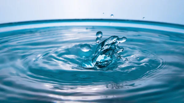 2匹のイルカの形をした水 水のスプラッシュクローズアップ 青い水の王冠 水を落とせ 冷凍スプラッシュ — ストック写真