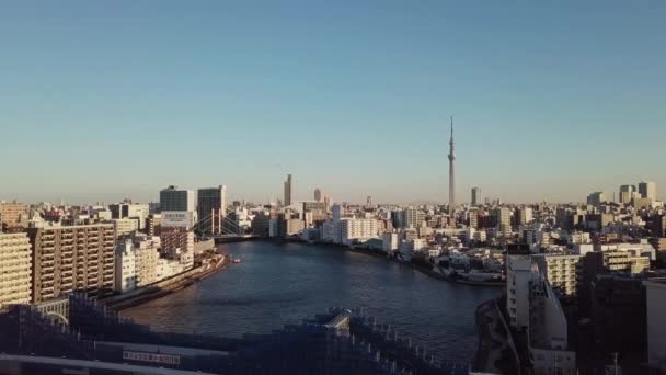 Aerial Sunrise in Tokyo city — Stock Video