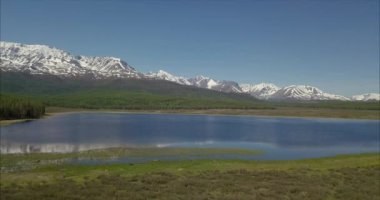 Orman ve dağların panoramik manzarası