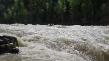Dağ Ormanı Nehri