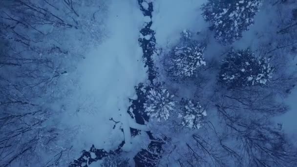 冬の川の空中風景. — ストック動画