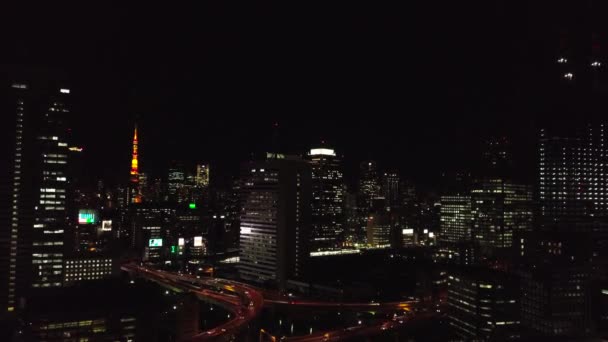 Widok z lotu ptaka na Night Tokyo — Wideo stockowe