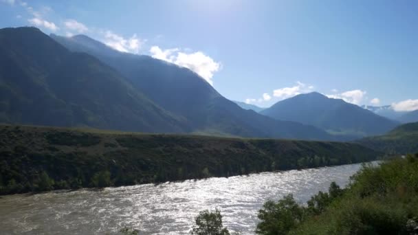 Fiume foresta di montagna — Video Stock