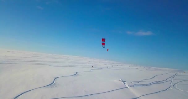 Snowkiting en el Norte — Vídeo de stock