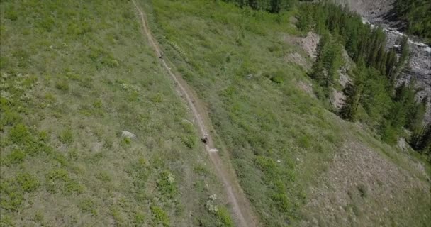 Mountainbiker in den Bergen des Altai — Stockvideo
